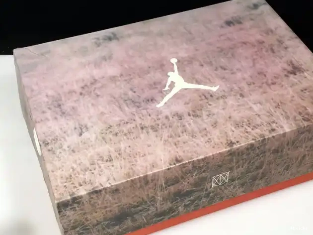 Reps TBK Bio 3 JTH Jordan Beige Air AV6683-200 0419